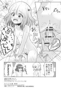 (C90) [Wasshoi Koubou (Hayami Sakura)] Youkai Shoujo no Aishikata. 4 (Touhou Project)