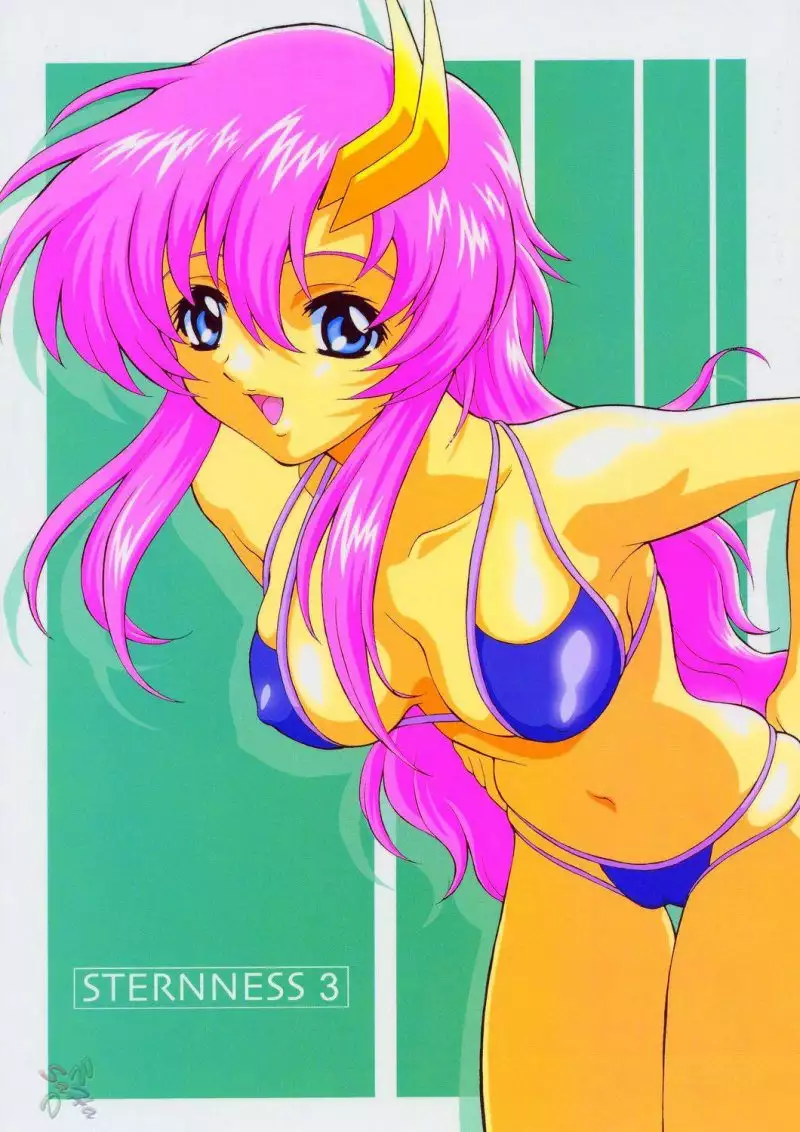 Gundam Seed Destiny Sterness 3