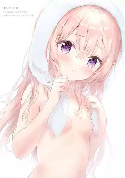 confiture ameusagi illust collection vol.17