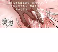 母豬養成計畫【中文】