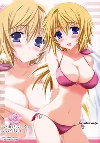 (SC57) [SONIC WINTER (Tsukishima Kai)] Kimi ga Hoshikute Tamaranai. | Can't Stop Loving You (IS <Infinite Stratos>) [English] (Rapid Switch)