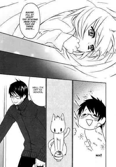 Puchi D VOL. 4 Kemonomimi