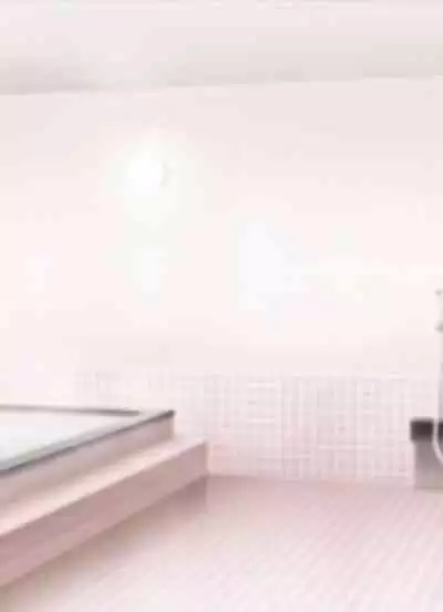 Yume ga Kanau ○○