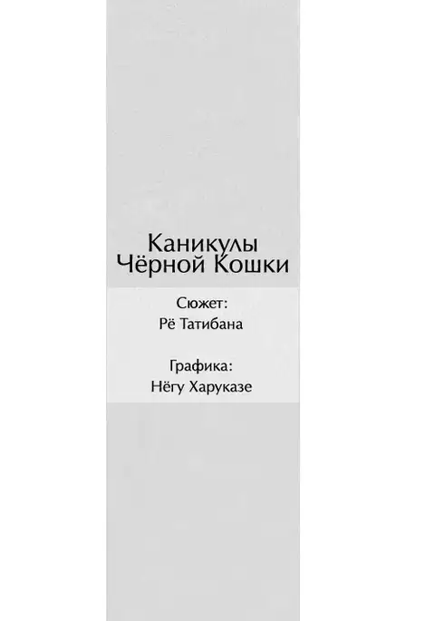 Kuroneko-tachi no Kyuujitsu ~A Peaceful Day~ | Holiday of the Black Cat ~A Peaceful Day~