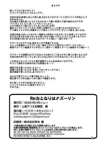 Re: Otonari wa Nazrin