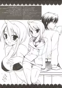 (COMIC1☆4) [D.N.A.Lab. (Miyasu Risa)] Classic 4 (Various)