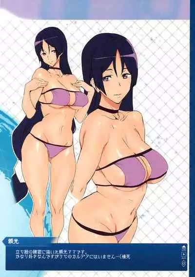 FGO Illust Matome Hon