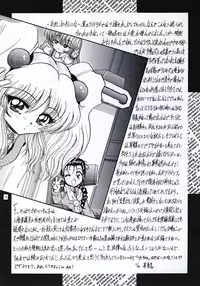 (C55) [L-Gauge Sha (Shōryū)] R2 (Martian Successor Nadesico)