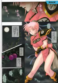 (C75) [Cyclone (Izumi Kazuya)] CYCLONE CM75 - Fuyu Comi Gentei Hanpu Bon (Various)