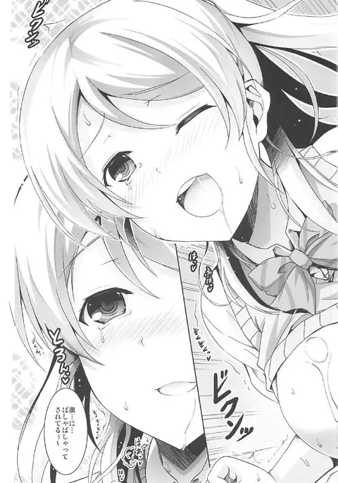 ERO LIVE COLLECTION
