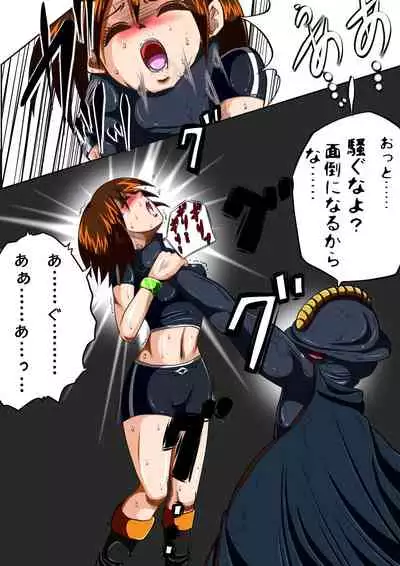 Fiora Crisis III - Hikari Crisis!