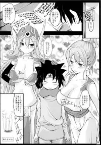 (C81) [Setsunasamidare (Kumatora)] Yuusha Souryo Level 1 (Dragon Quest III)