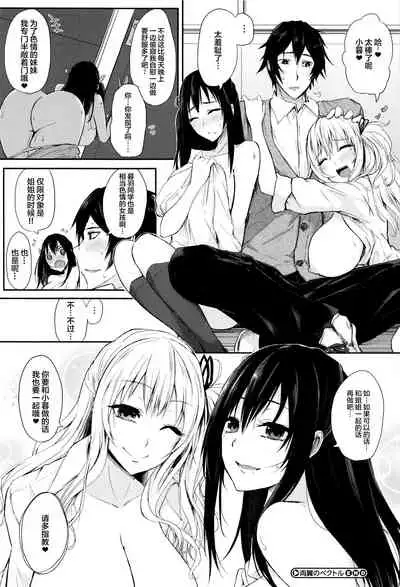 Fumajime ni Uraraka - Insincere Serenity