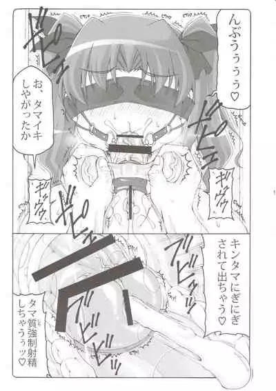 (C96) [Abarenbow Tengu (Izumi Yuujiro)] Kotori 16 (Fate/stay night)