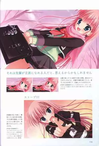 Hatsuyuki Sakura Visual Fanbook