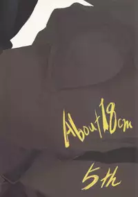 (Mimiket 15) [Nilitsu Haihan (Nilitsu)] About 18cm 5th (Fate/Stay Night)