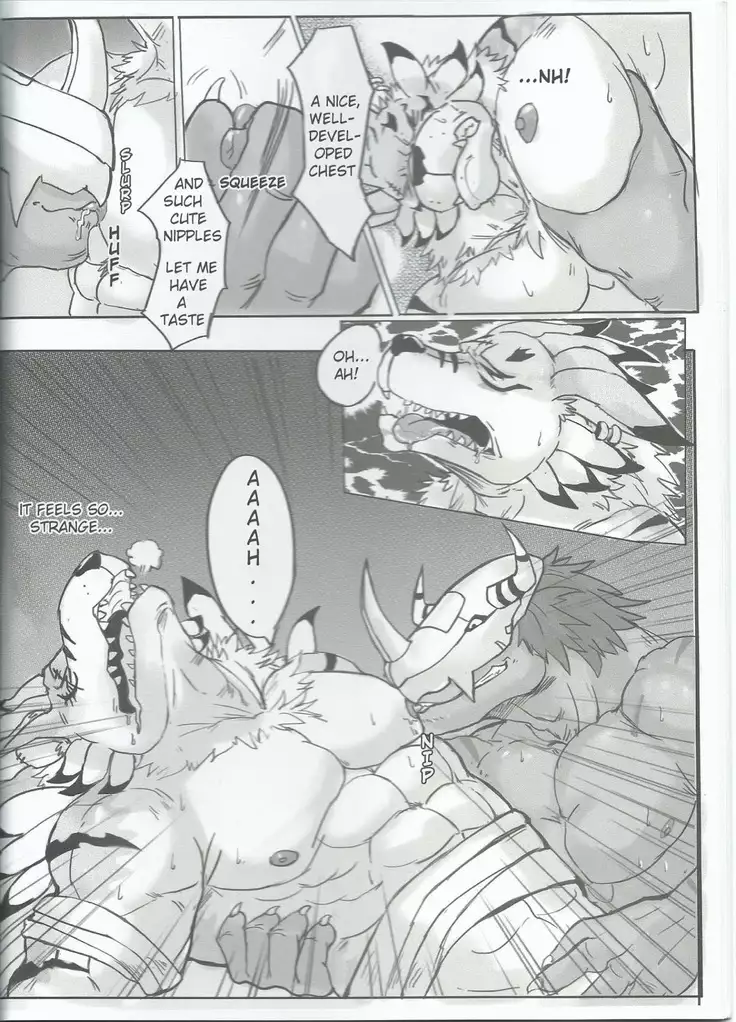 The Secret of Digivolution