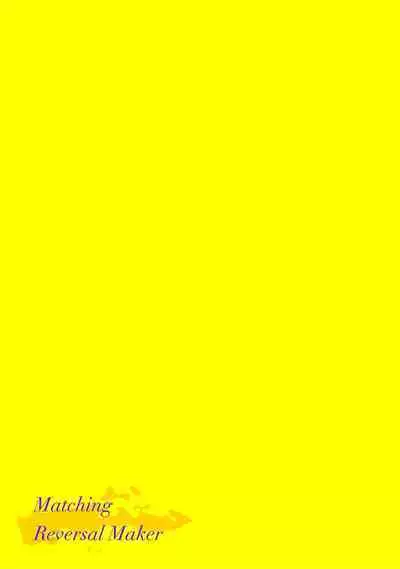 [34Banchi] Matching Reversal Maker 1-3 | Matching Reversal Maker 1-3 [Chinese] [莉赛特汉化组]