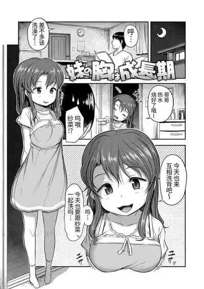 Nani Suru no!? Onii-chan!! | 欧尼酱!?你在干什么!! + 附赠DLsite限定特典