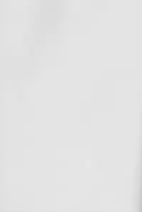 (C88) [my pace world (Kabocha Torte)] Yoiyami ni Nureru Hana (Pokémon Black and White) [Chinese] [朔夜汉化]