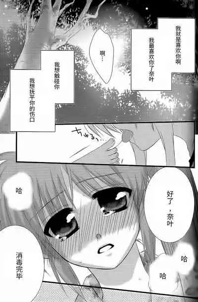 (Unison In 3) [Kohakura. (Kohaku.)] Fine Color Day | 雨过天晴 (Mahou Shoujo Lyrical Nanoha) [Chinese] [透明声彩汉化组]