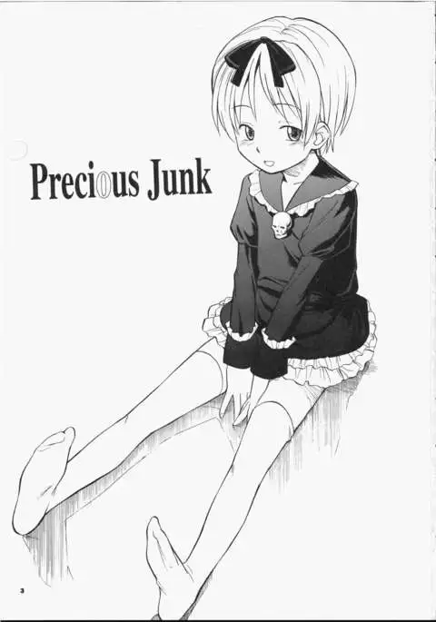Precious Junk