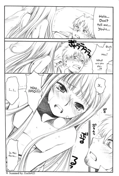 (C72) [Emode (Sanada Rin)] Shiawase o Ushinau no Naraba Kinyoku Nado Gu no Kocchou (Spice and Wolf) [English]