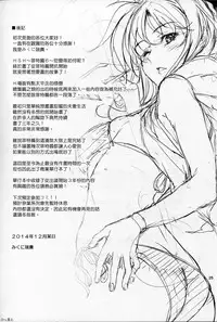 (C87) [IV VA SHIN (Mikuni Mizuki)] Home Sweet Home ~Fate Hen 6~ (Mahou Shoujo Lyrical Nanoha) [Chinese] [Drz漢化]