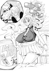(C67) [ACID-HEAD (Misutake, Murata.)] Nami no Koukai Nisshi Special 2 (One Piece)