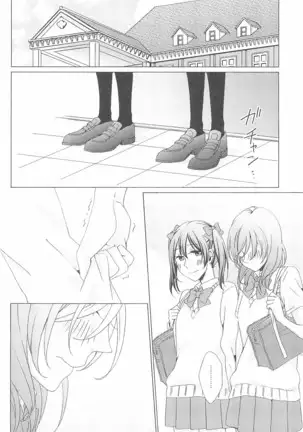 ペトリの朝に花束を