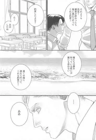 Summer Assortment Remake