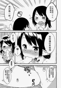 (C85) [Wasuraruru Tegami (Binsen)] Elf Shimai no Chousen [Chinese] [狼娘汉化]