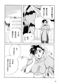 (C57) [METAL (Various)] MODEL CAPCOM (Various)