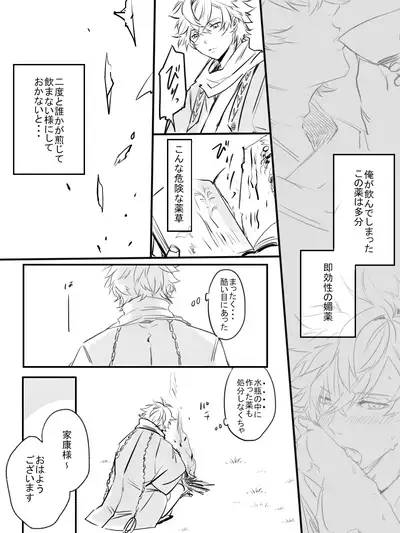 [STCN] Kurenai no Toge