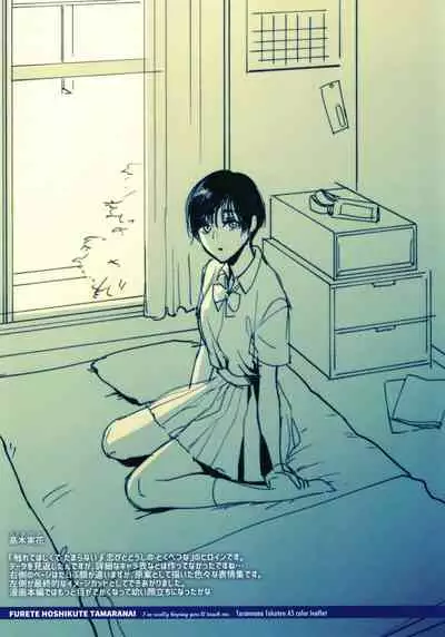 [Syoukaki] Furete Hoshikute Tamaranai