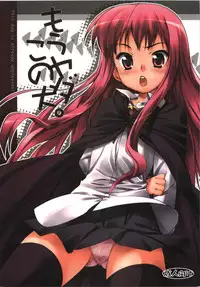 (C74) [EasyGame (Hoshizaki Hikaru)] mouyadako no inu (Zero no Tsukaima)