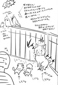 (COMIC1☆8) [chocolate Lv.5 (dynamite moca)] Match Uri no Otokonoko to Kime-seku