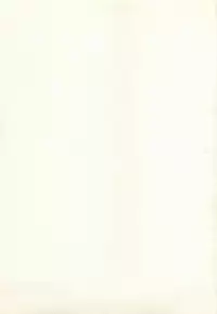 [Matsuzawa Kei] Ranman Fechi Romance - Glorious Fetish Romance