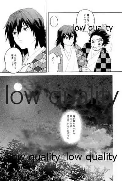 義勇さんはかわいいので大丈夫です