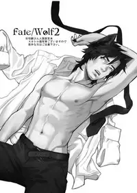 [MECCHORI (Mitsuru)] Fate/Wolf 2 (Fate/Zero) [Digital]