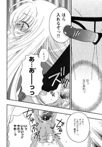 [Chinjao Roosu] Karyou Gakuen e Youkoso - Welcome to Karyou Gakuen