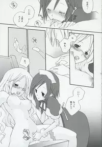 (C65) [Megaton Megane (Thomas)] Kanjou Kyouiku (Summon Night 3)