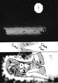 [Studio Boxer (Shima Takashi, Taka)] HOHETO 3 (Ranma 1/2)