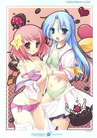 Tsunagaru Bangle - Visual Fan Book