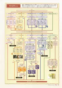 Canvas Visual Fan Book